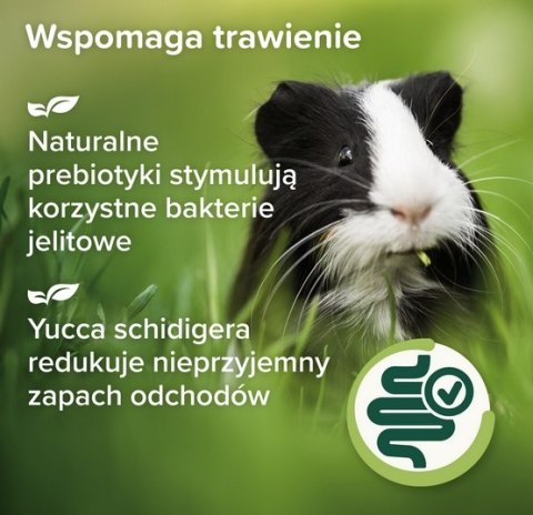 Beaphar Care+ Nature Świnka morska 1,5kg